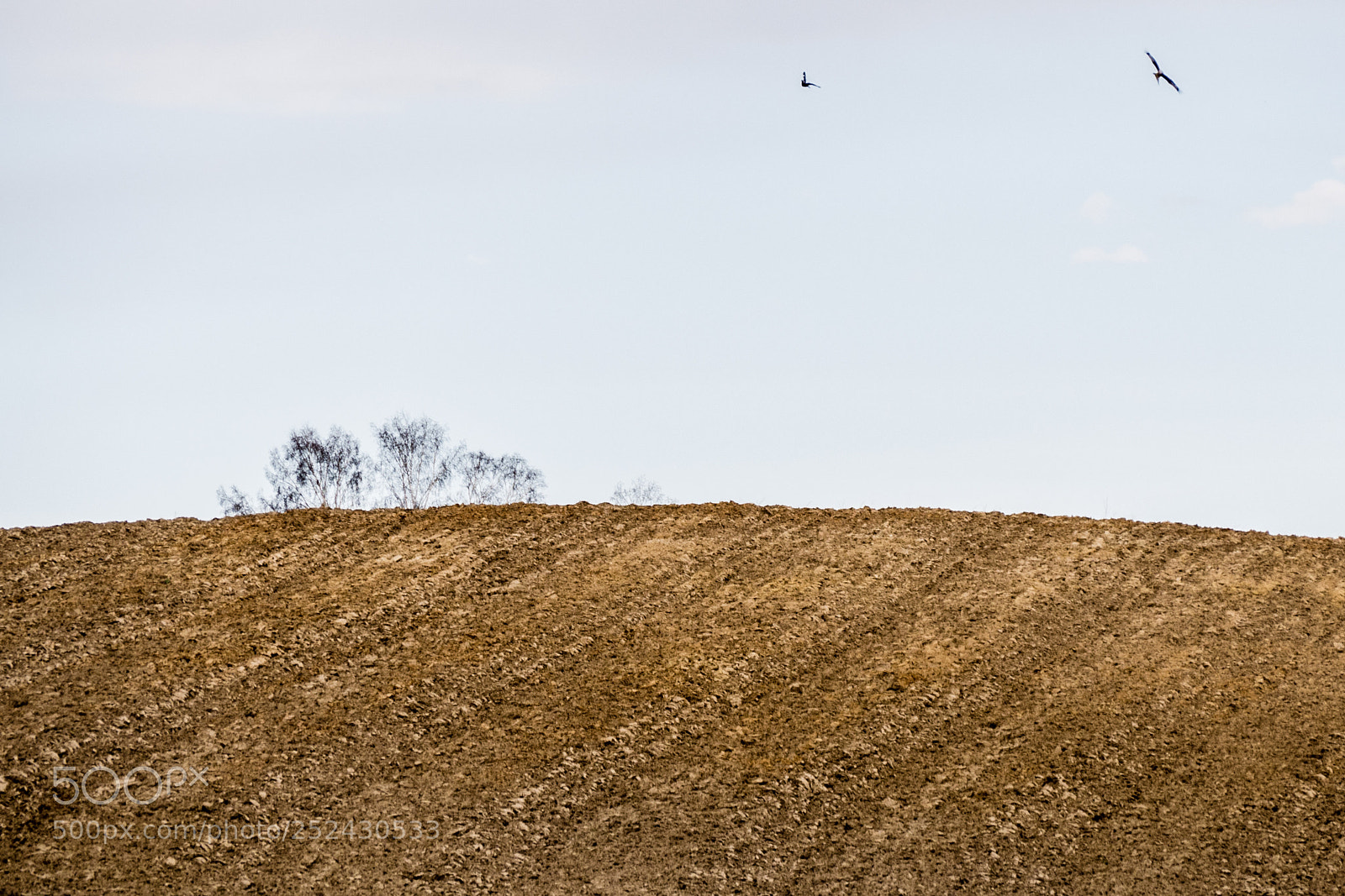 Panasonic DMC-G70 sample photo. Field photography