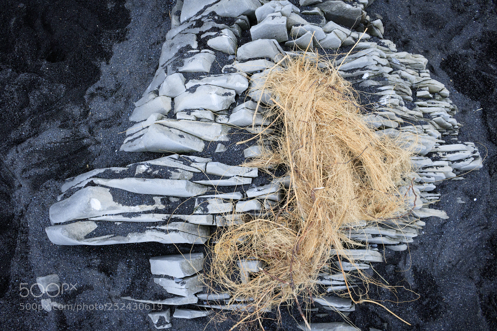 Canon EOS 750D (EOS Rebel T6i / EOS Kiss X8i) sample photo. Reynisfjara photography