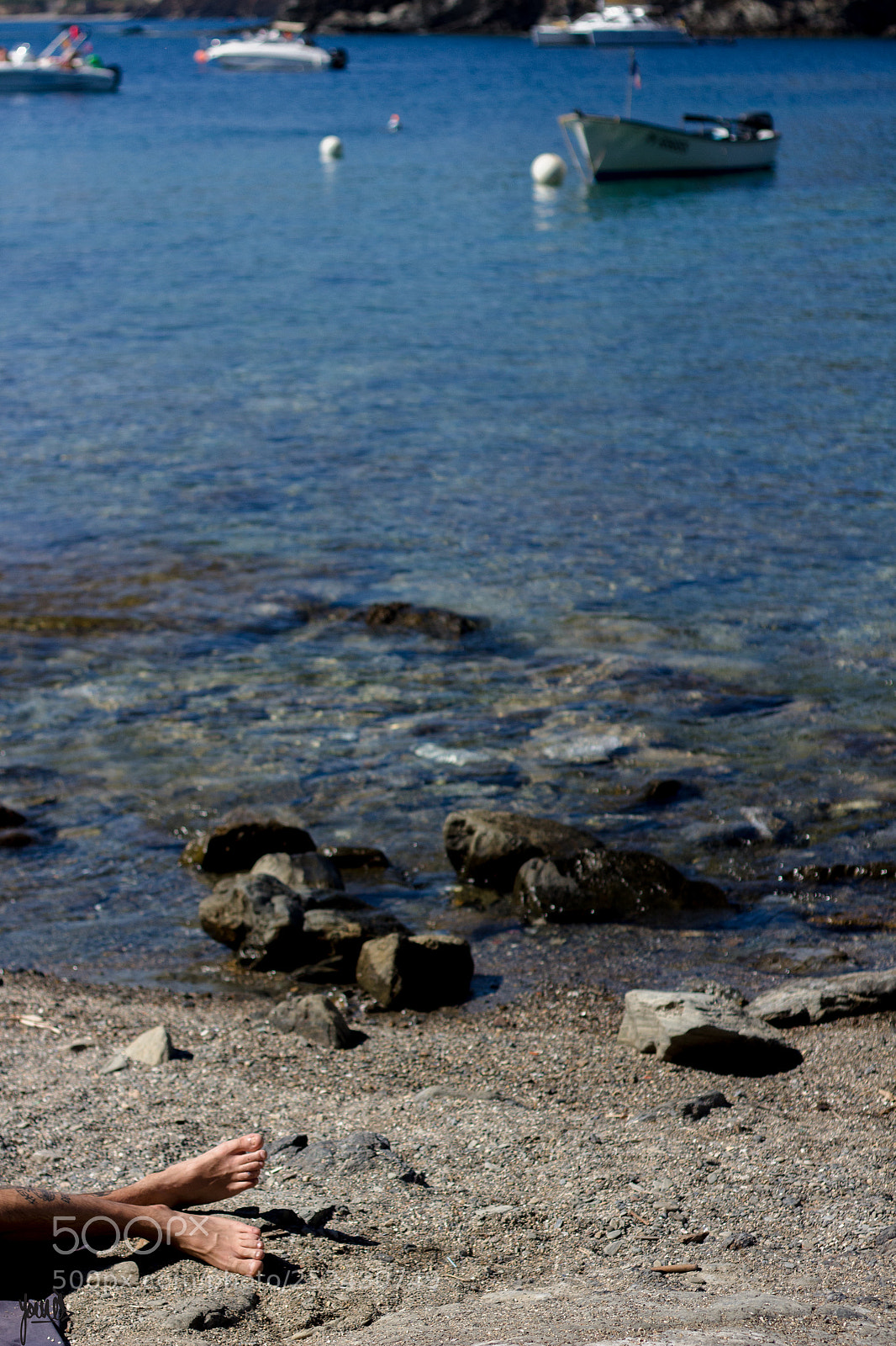 Canon EOS 700D (EOS Rebel T5i / EOS Kiss X7i) sample photo. Iep photography