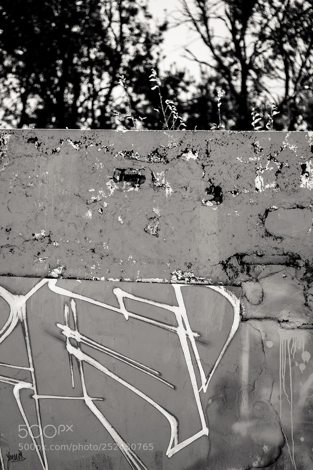 Canon EOS 700D (EOS Rebel T5i / EOS Kiss X7i) sample photo. Vandal photography