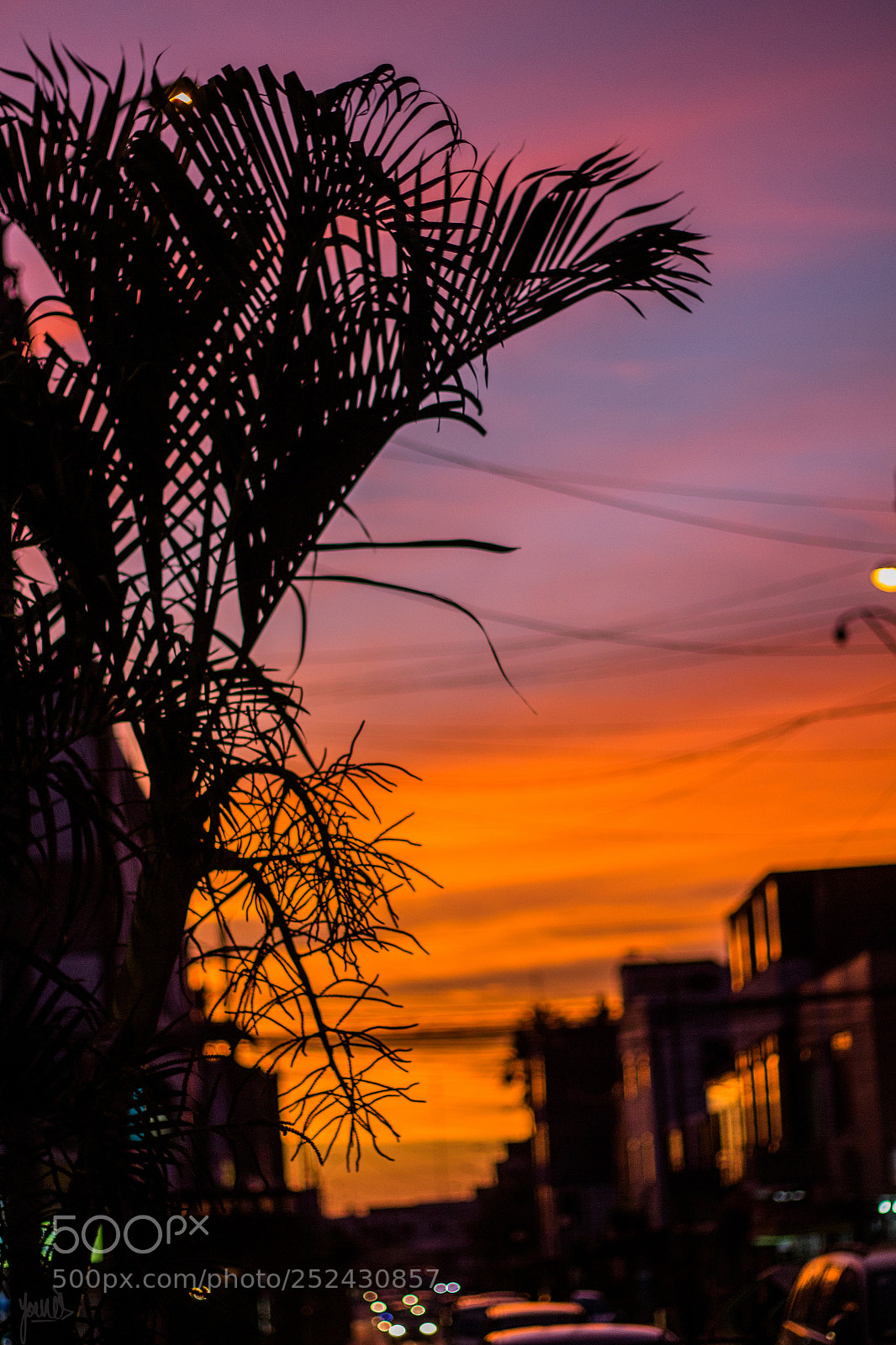 Canon EOS 700D (EOS Rebel T5i / EOS Kiss X7i) sample photo. Orange photography