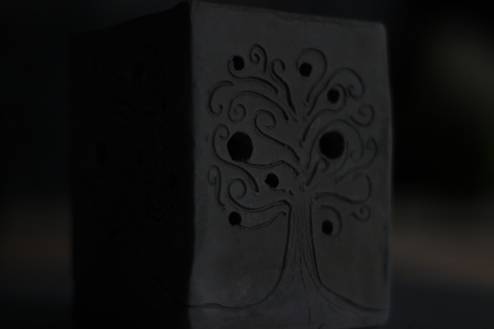 Canon 50mm sample photo. Img photography