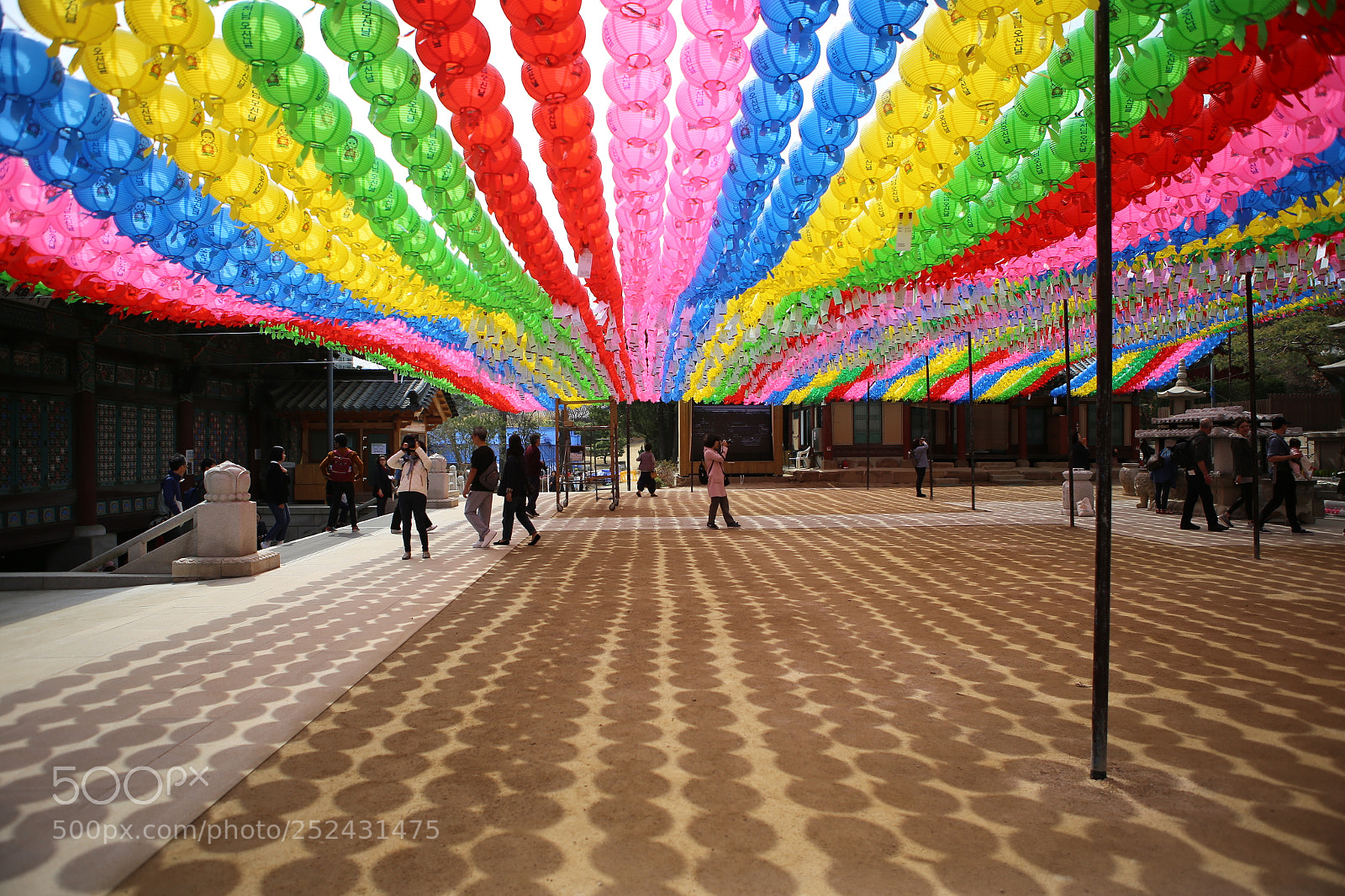 Canon EOS 6D + Canon EF 24-70mm F2.8L USM sample photo. Img photography
