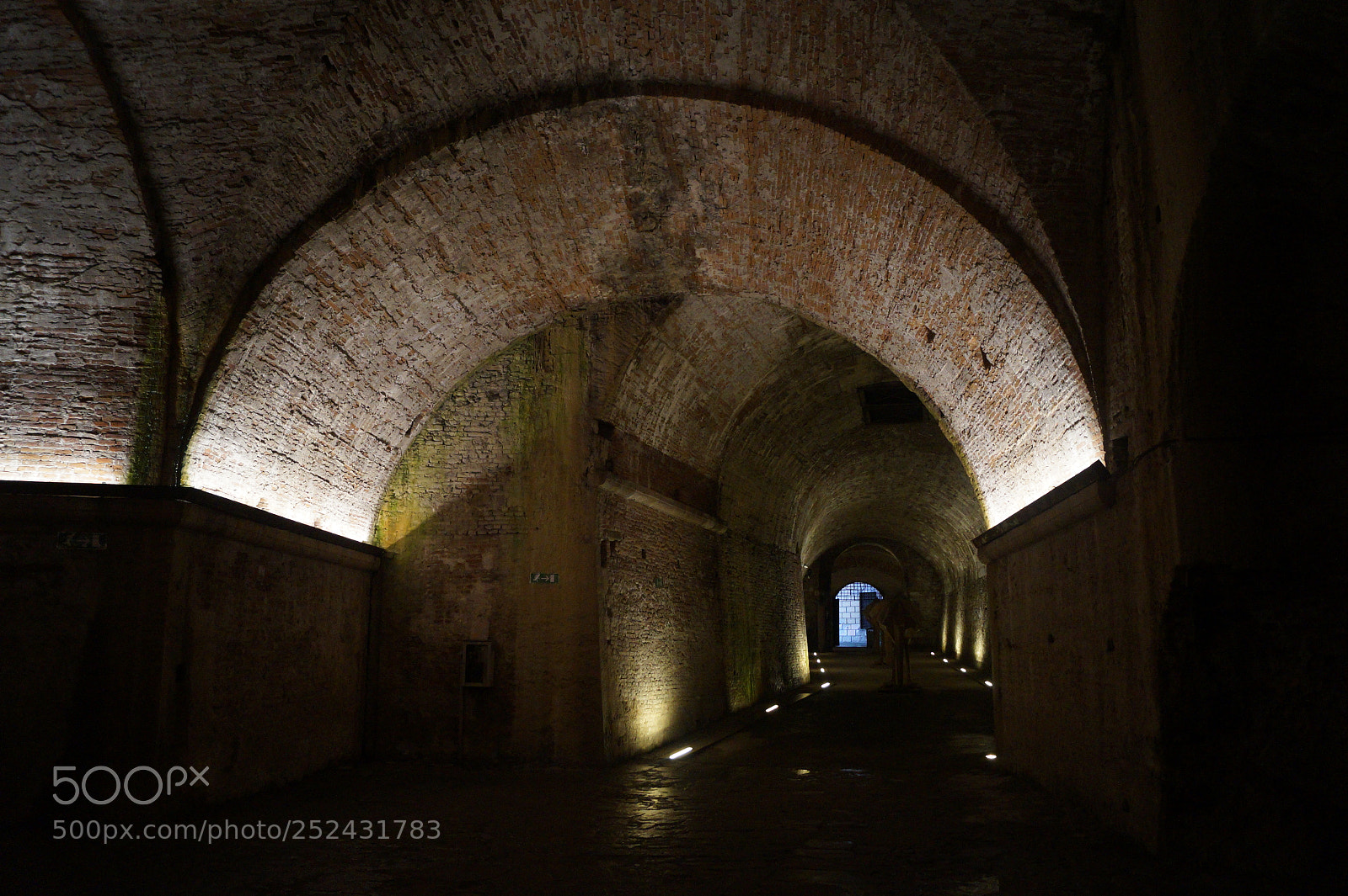 Sony SLT-A58 sample photo. Dentro le mura photography