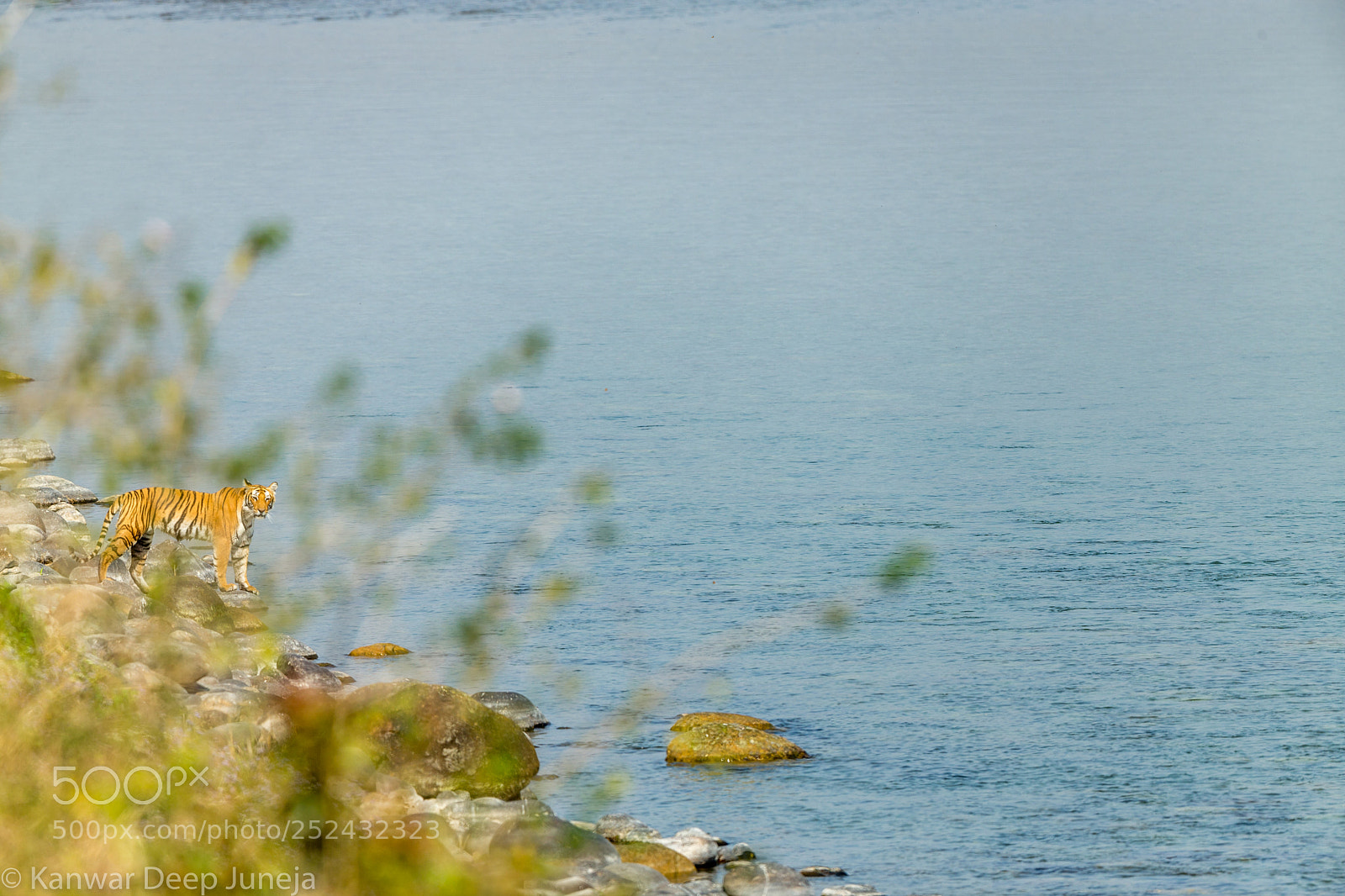 Canon EOS-1D X sample photo. Hidden or visible photography
