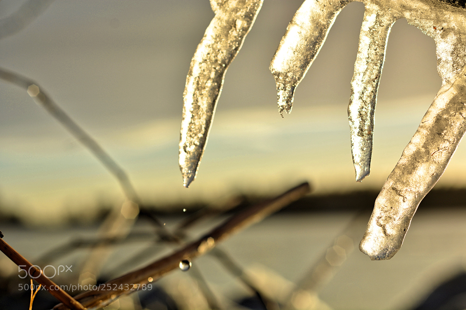 Nikon D7100 sample photo. Dripping colors photography