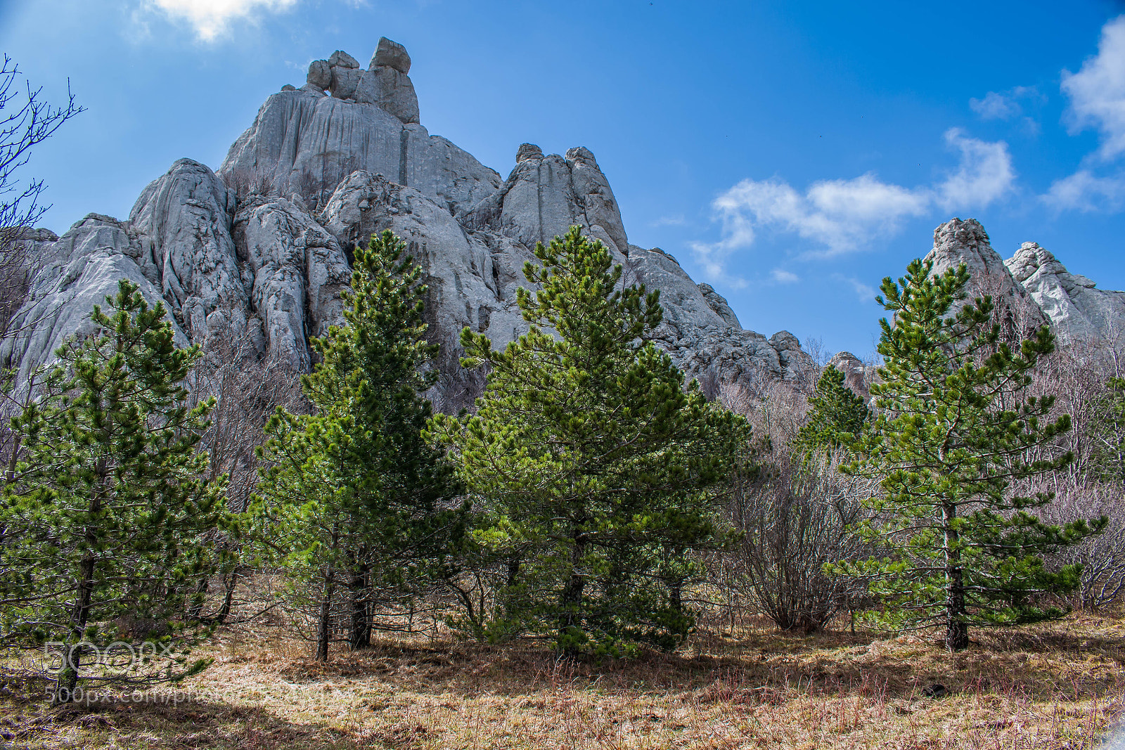 Nikon D5300 sample photo. Pines and rocks photography