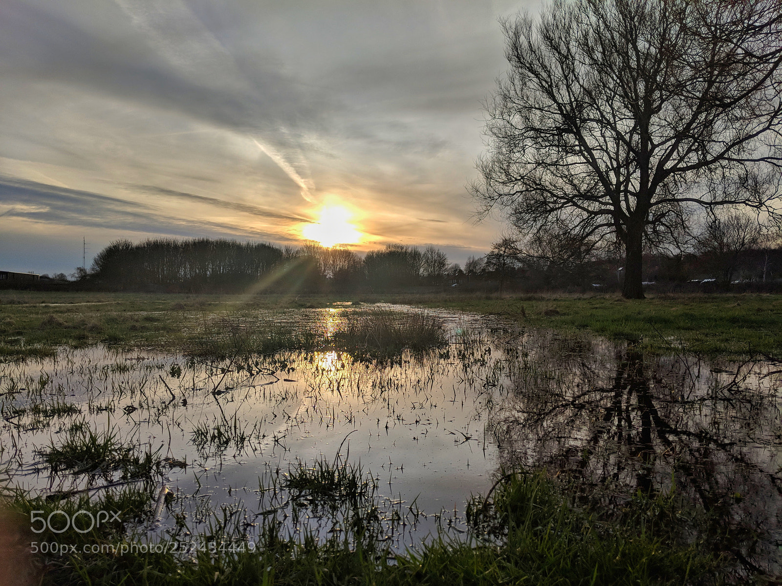 Google Pixel 2 sample photo. Soggy sunset photography