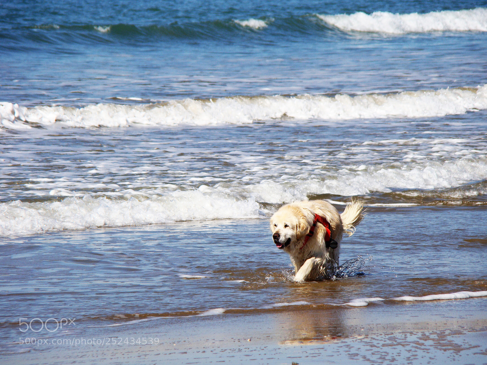 Sony Cyber-shot DSC-H50 sample photo. A beach day photography