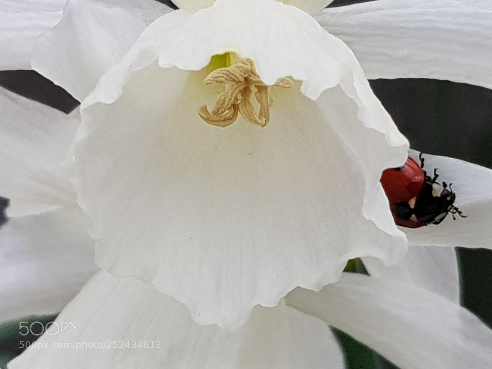 Samsung Galaxy S8 sample photo. Untitled photography