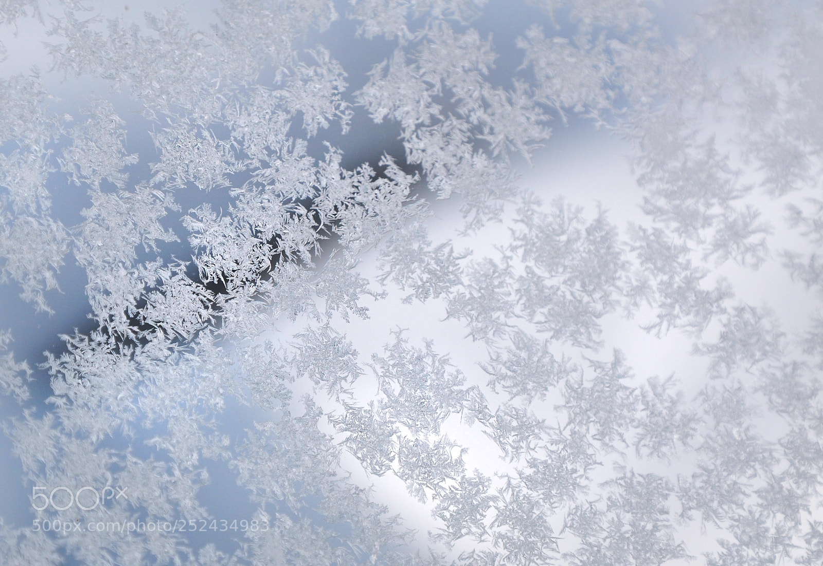 Nikon D90 sample photo. Beauty of nature photography