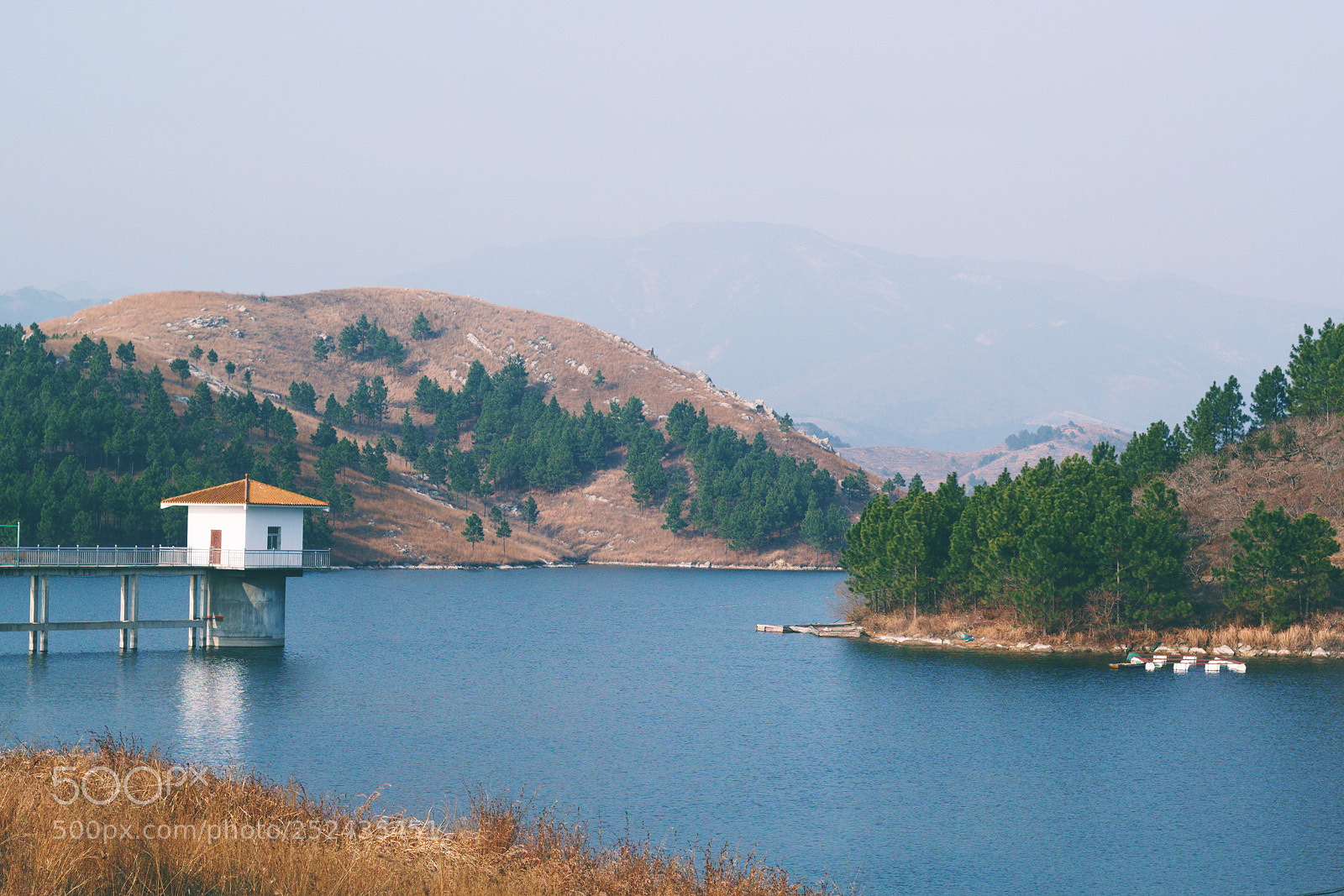 Canon EOS 60D sample photo. Untitled photography
