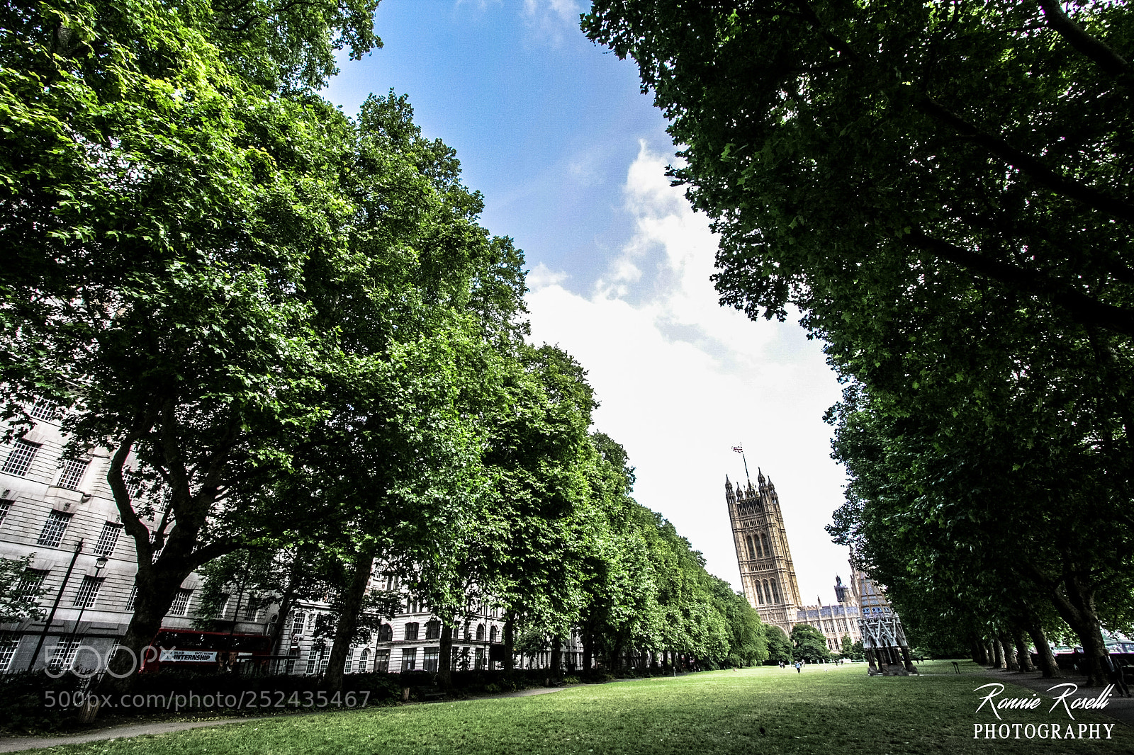 Canon EOS 40D sample photo. London meadow photography