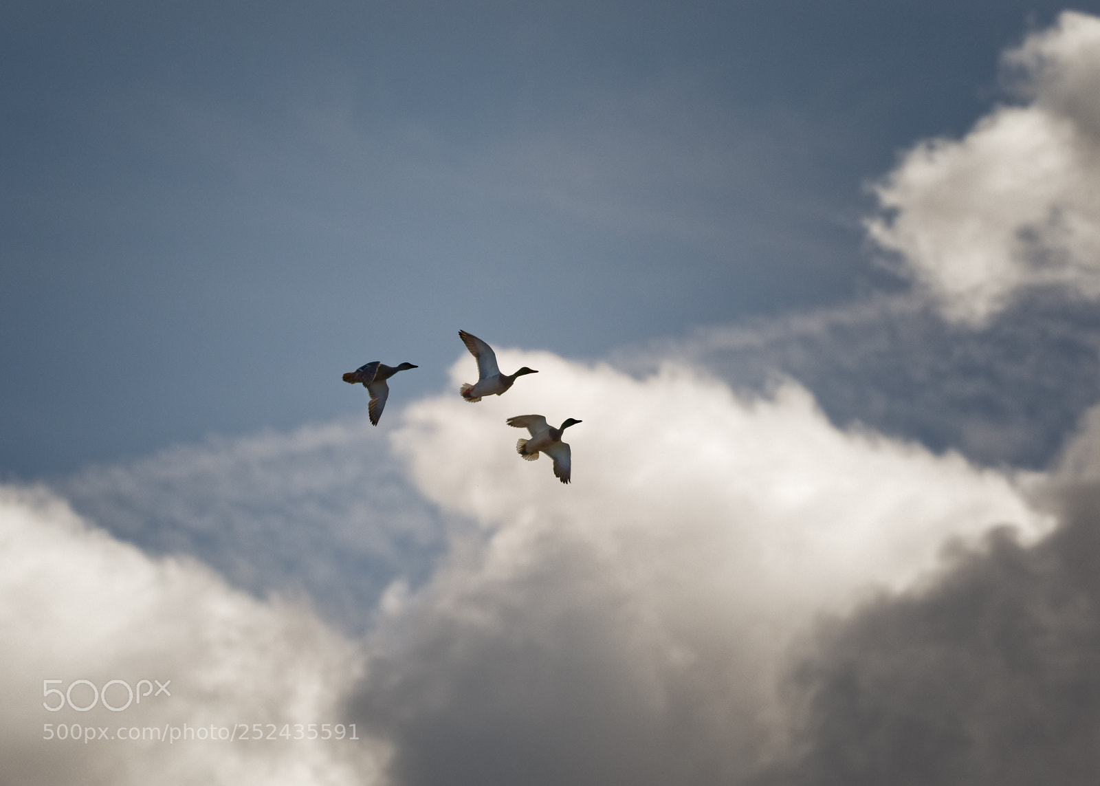 Canon EOS 5D Mark IV sample photo. Above the clouds photography