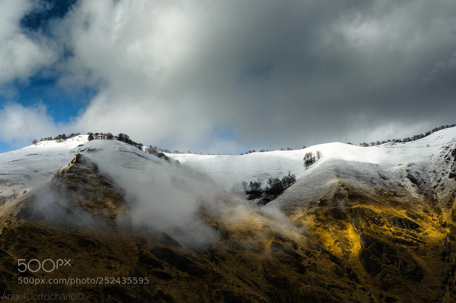 Nikon D700 sample photo. Pirineo francés, larrau photography