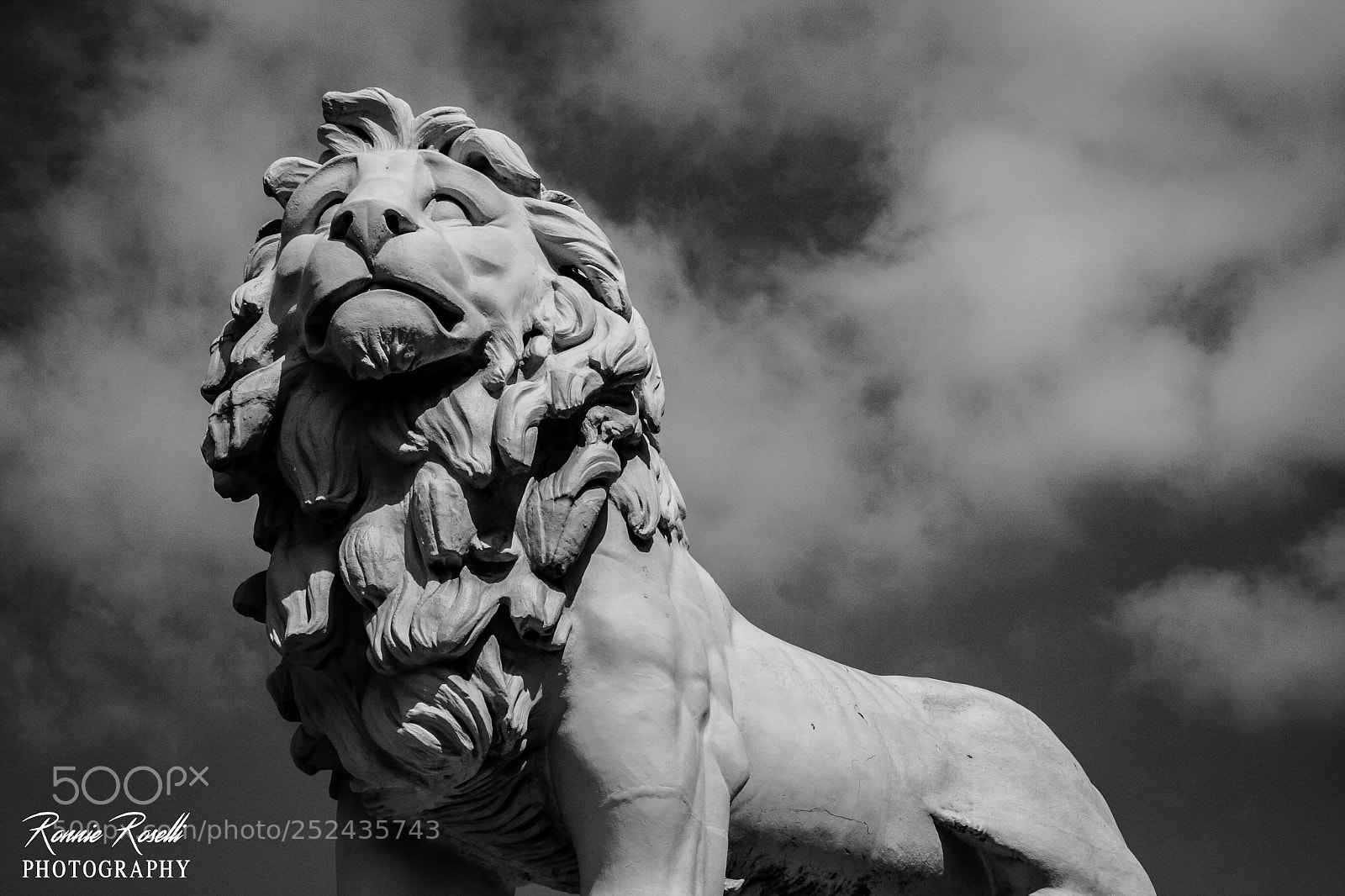 Canon EOS 40D sample photo. London lion statue photography