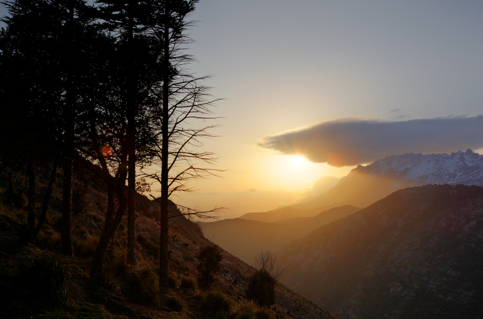 Canon EOS 5D Mark II + Canon EF 16-35mm F2.8L USM sample photo. Algerian alps sunset photography