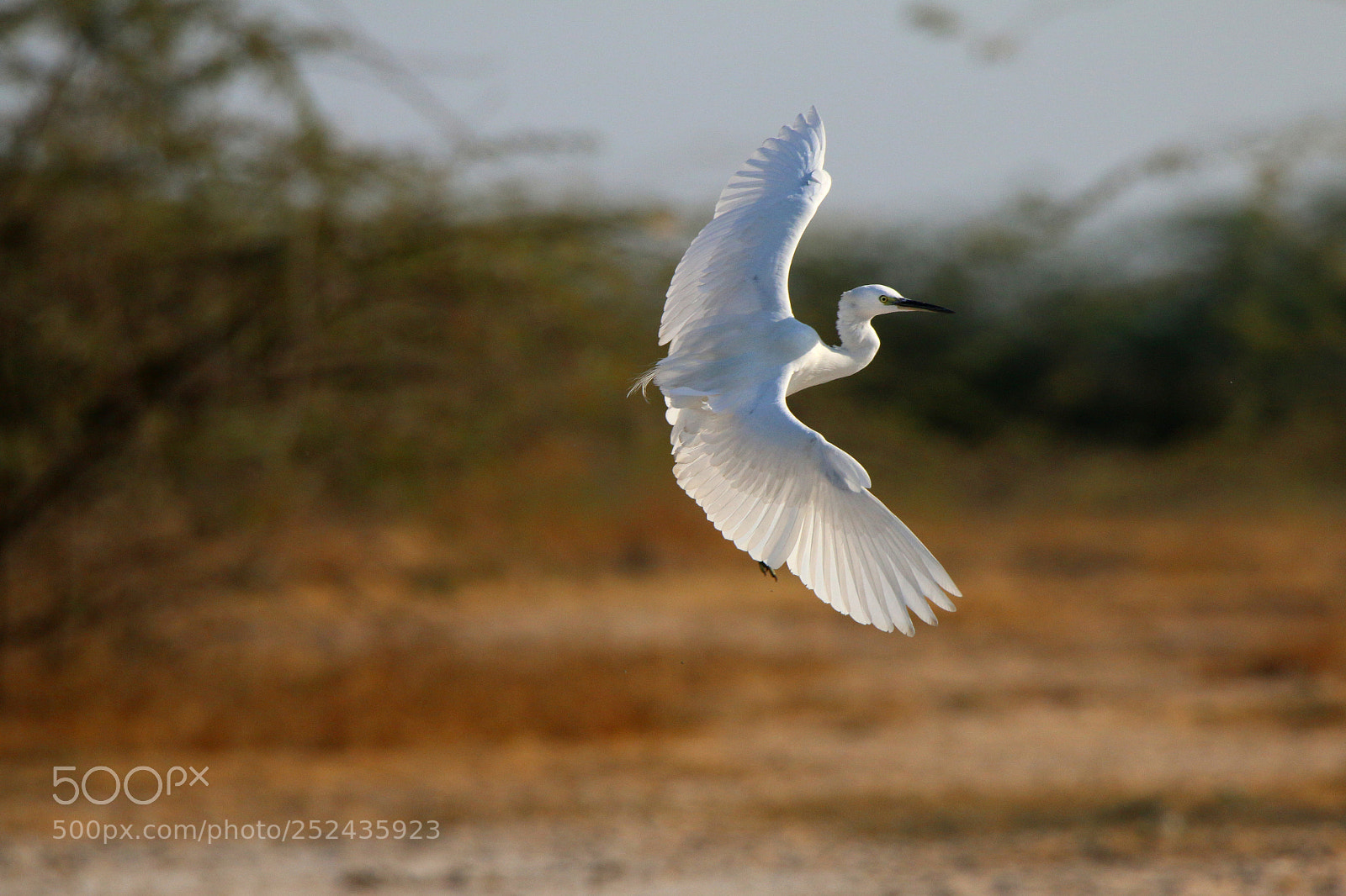 Canon EOS 70D sample photo. Shadow and light photography