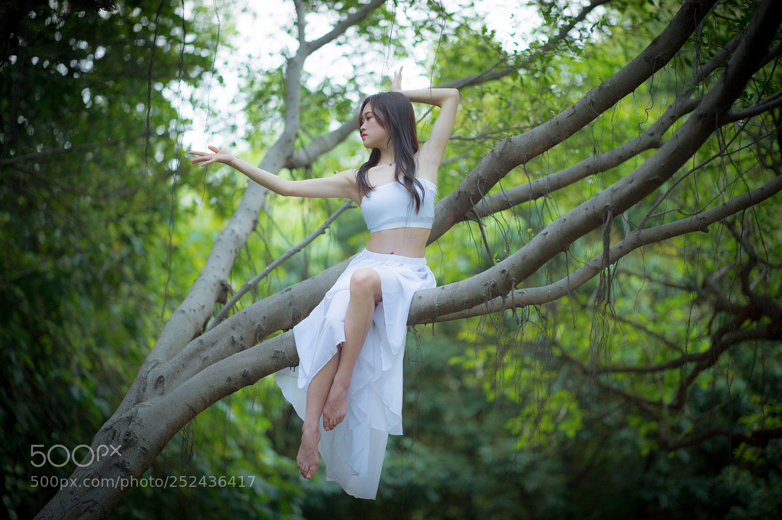Nikon Df sample photo. 舞姿 photography