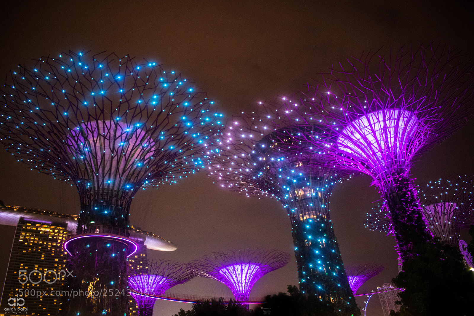 Nikon D5300 sample photo. Supertree grove light show photography