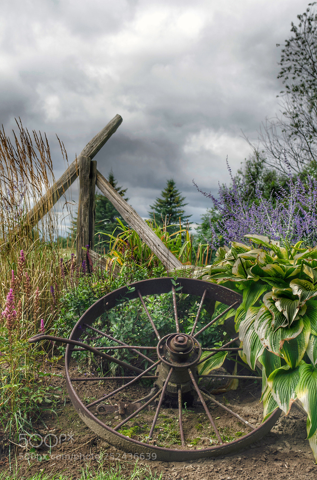 Nikon D5100 sample photo. Wagon wheel photography