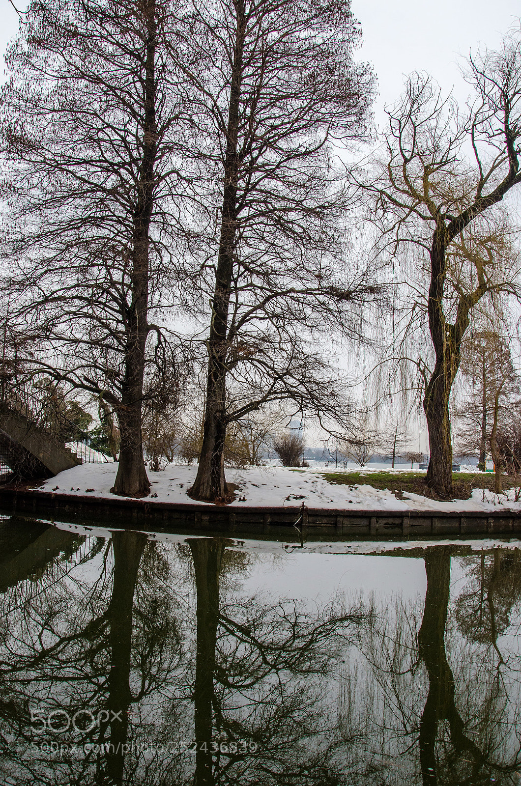 Nikon D7000 sample photo. Reflections photography