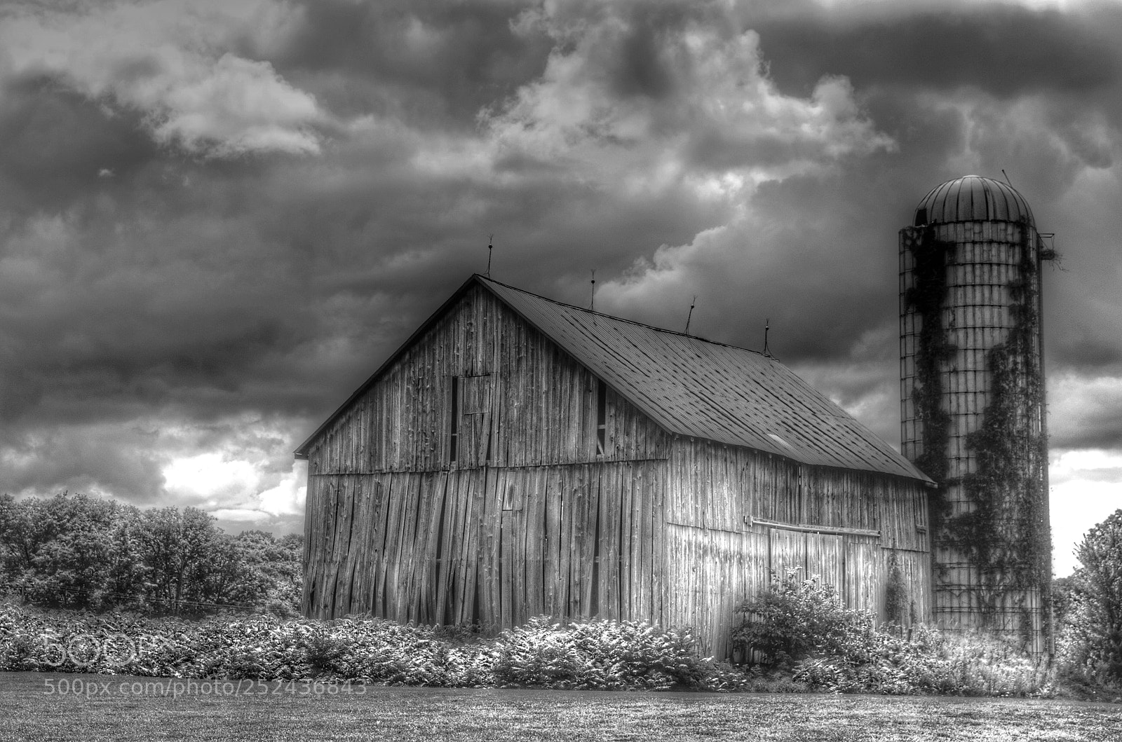 Nikon D5100 sample photo. The barn photography