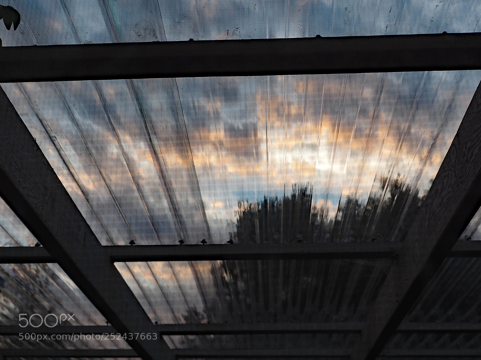 Olympus OM-D E-M5 II sample photo. New see-through roofing. photography