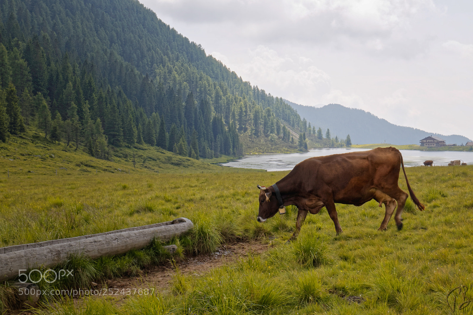 Canon EOS 70D sample photo. Pastorale photography