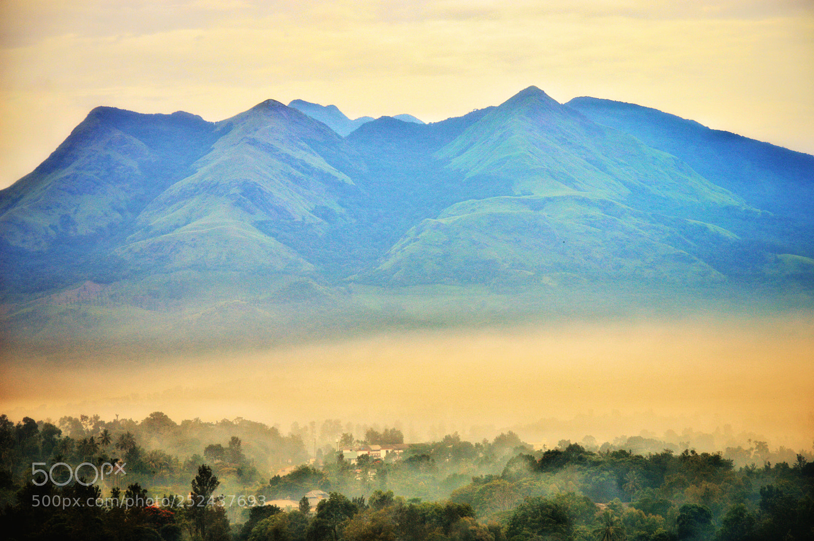 Nikon D3200 sample photo. Misty morning #2 photography