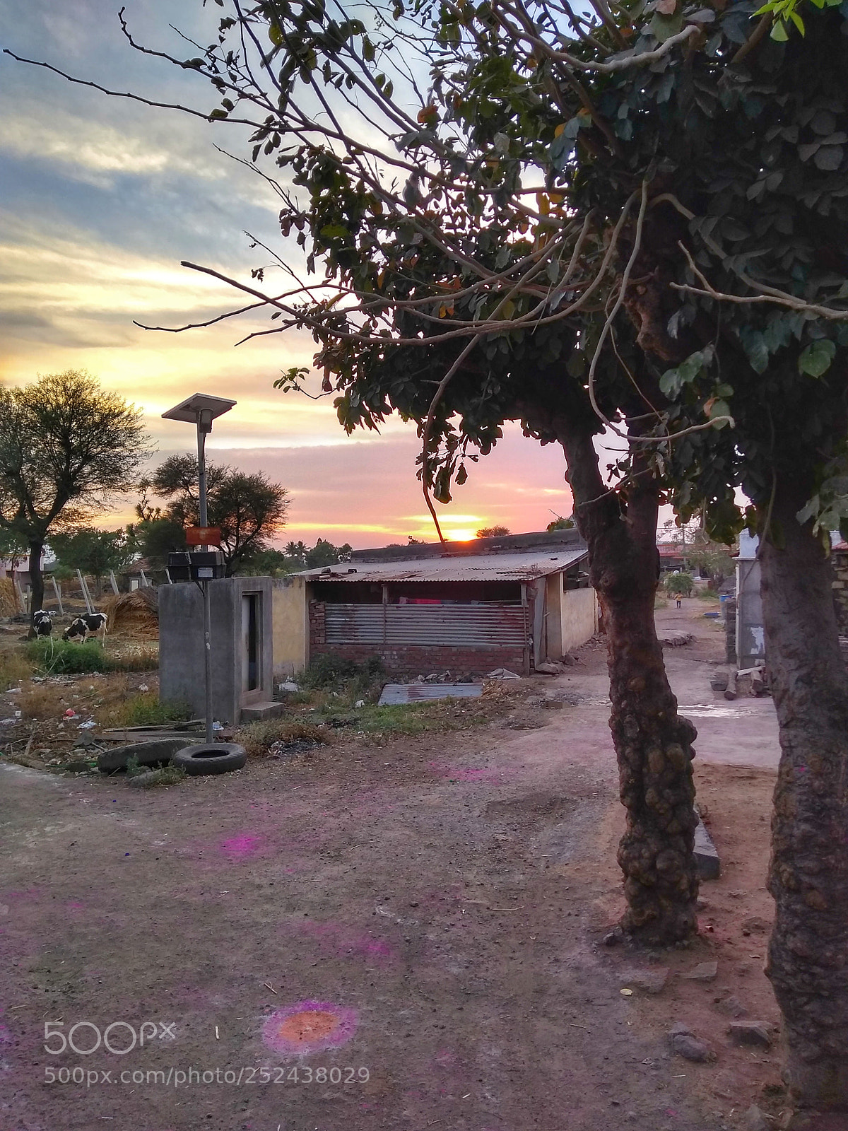 Motorola Moto G (5S) Plus sample photo. @ ❤️ of nature! photography