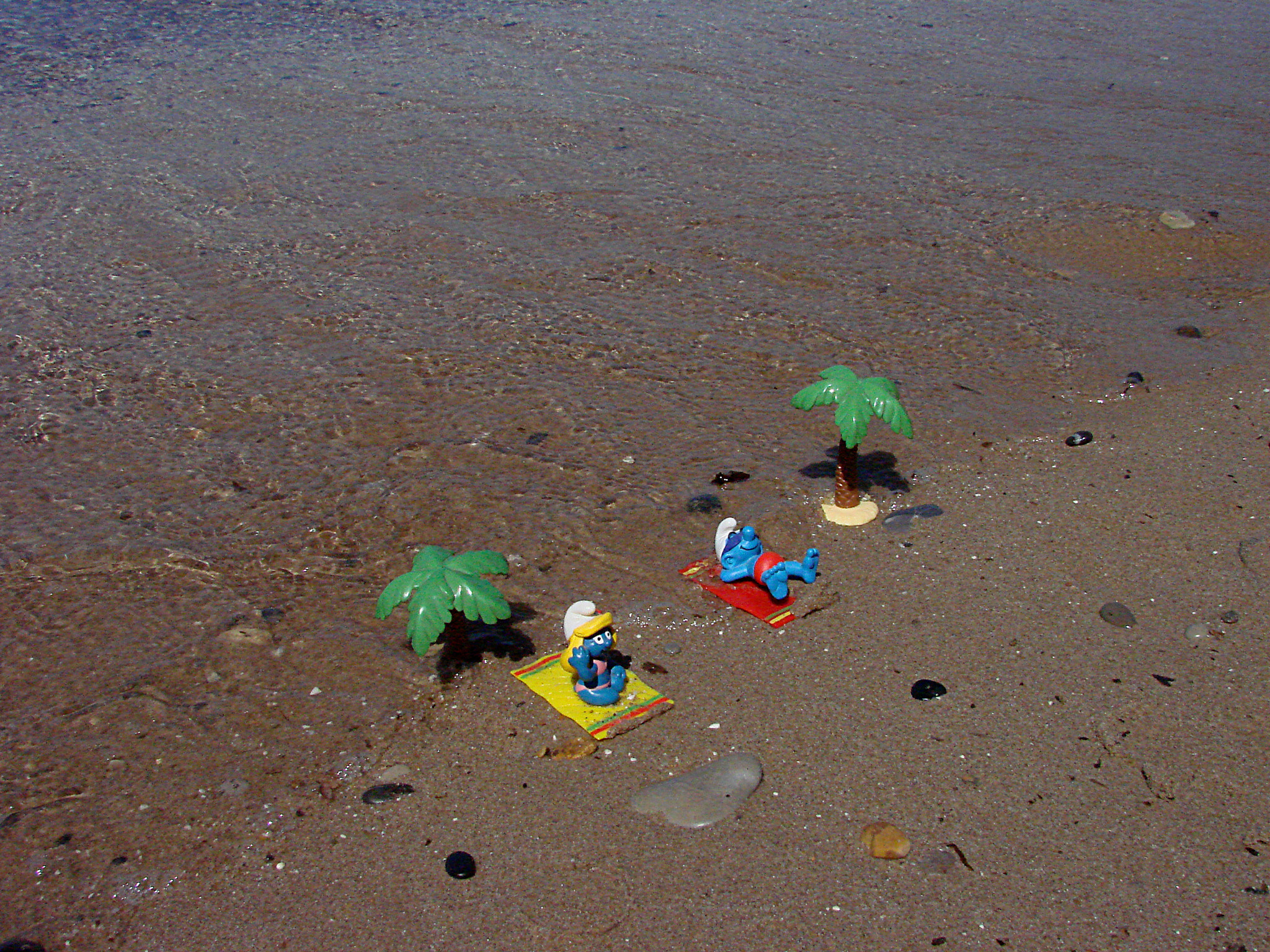 Sony DSC-H5 sample photo. Smurfs on the beach photography