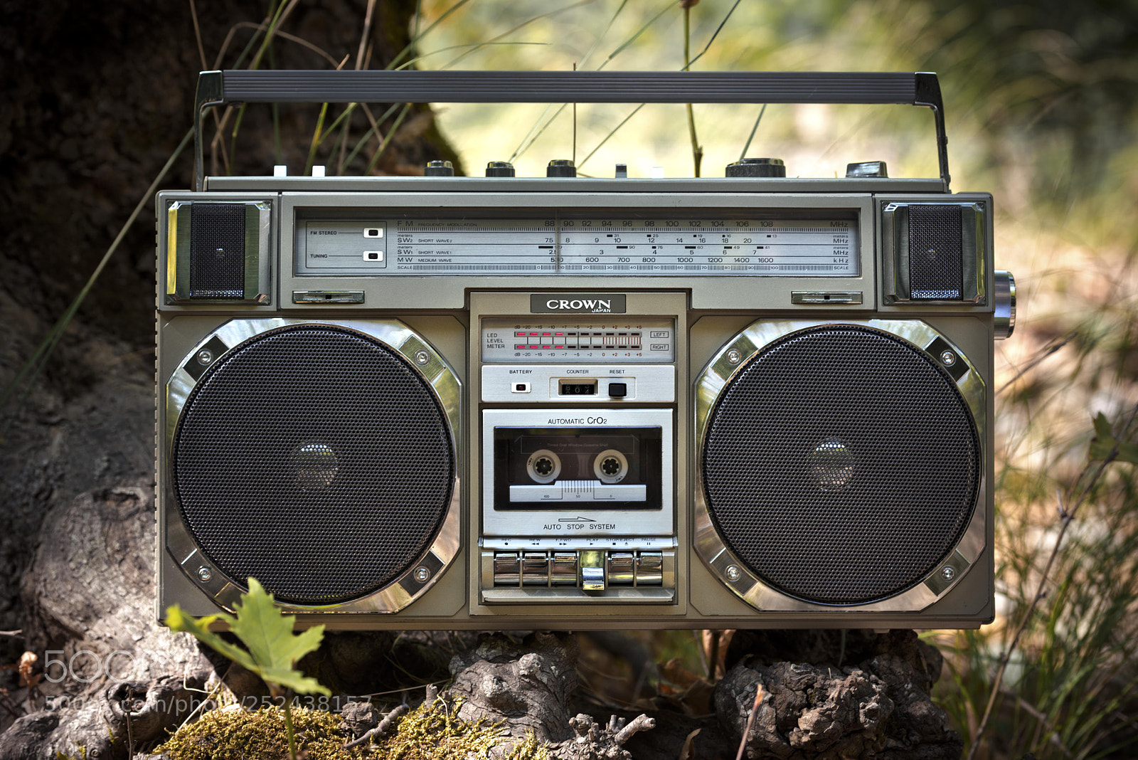 Nikon D600 sample photo. Crown csc-950l 1979 photography