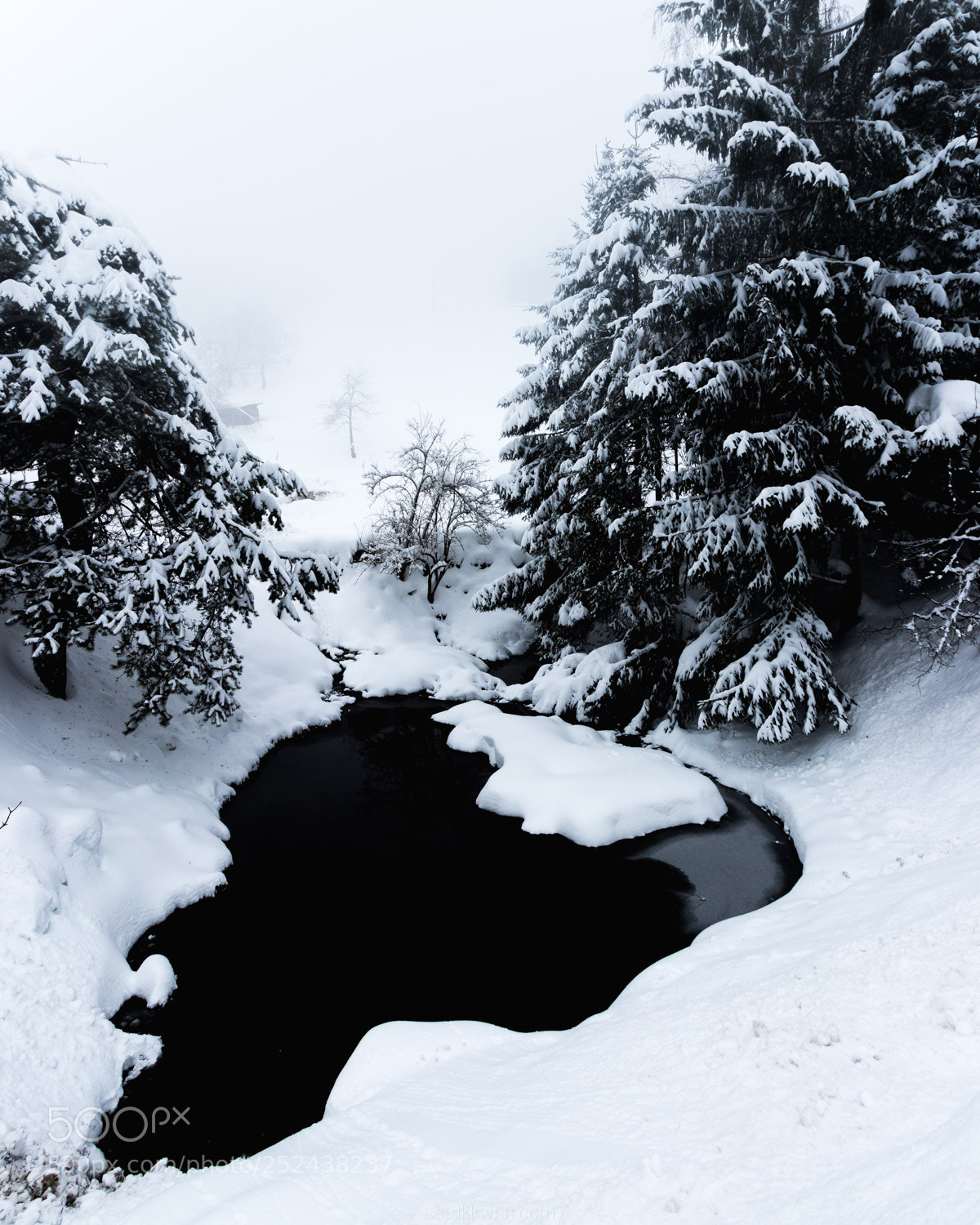 Canon EOS 80D sample photo. Snowy pond and trees photography