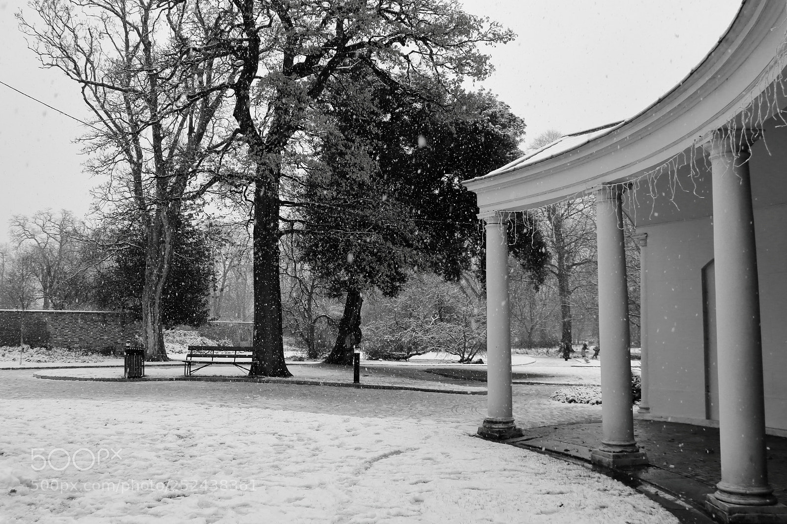 Canon EOS 70D sample photo. Winter in black and photography