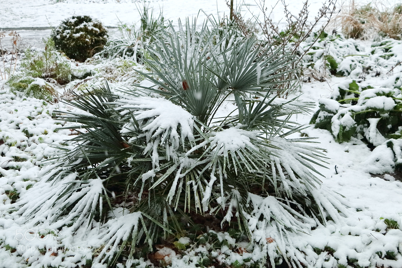 Canon EOS 70D sample photo. Snow in the park photography