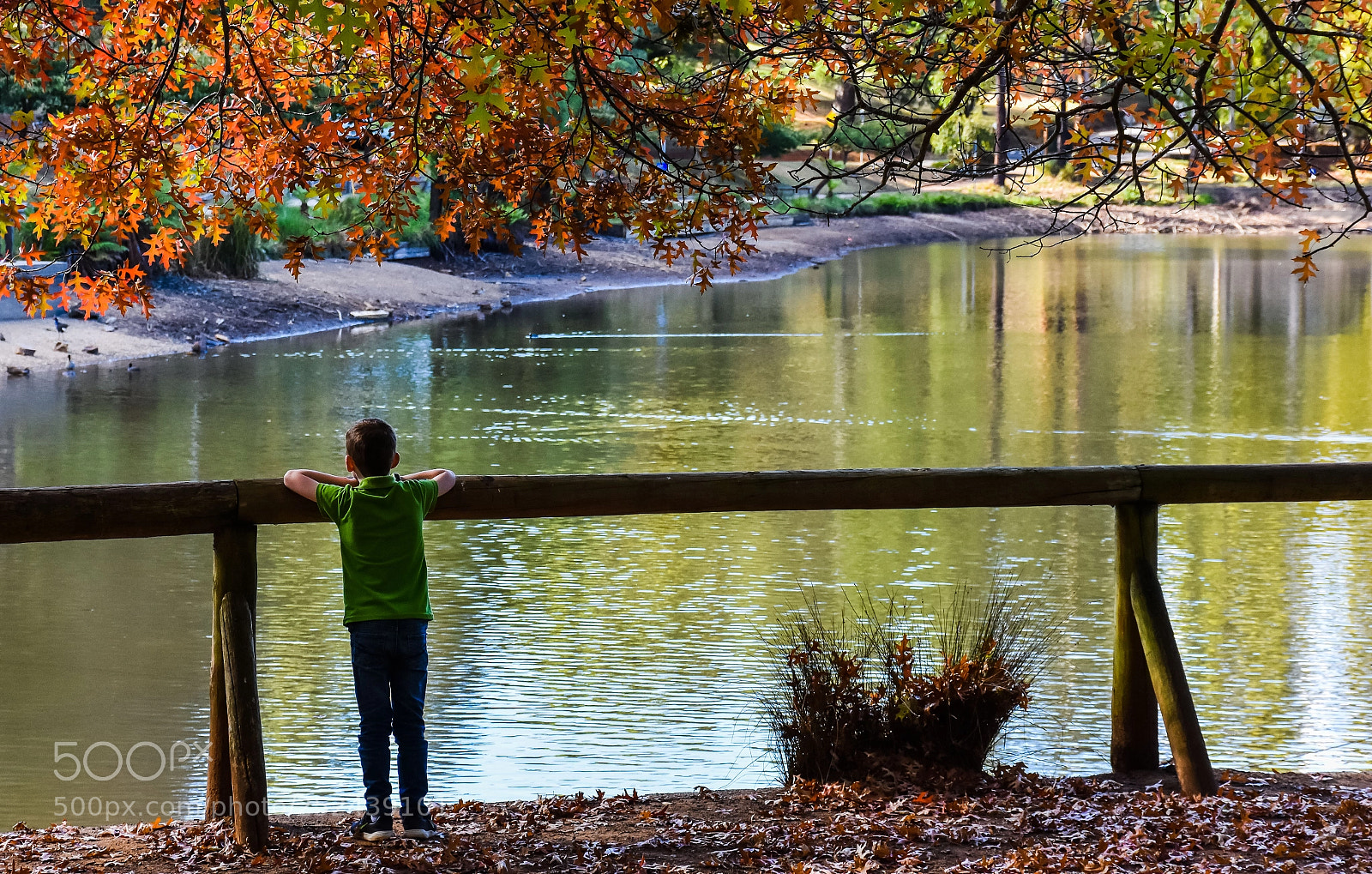 Nikon D7200 sample photo. Autumn lake photography