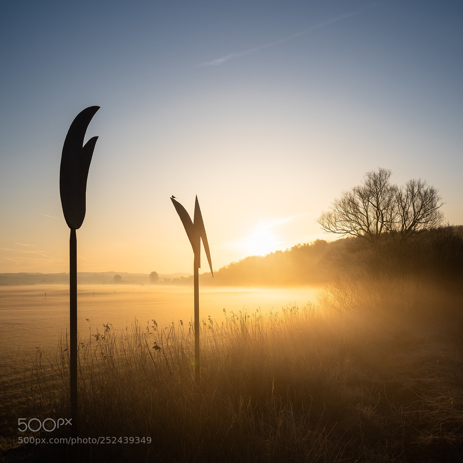 Nikon D810 sample photo. Kunst im morgenlicht photography