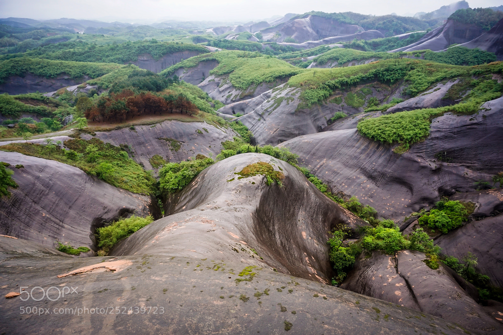 Sony a6000 sample photo. Gaoyiling photography