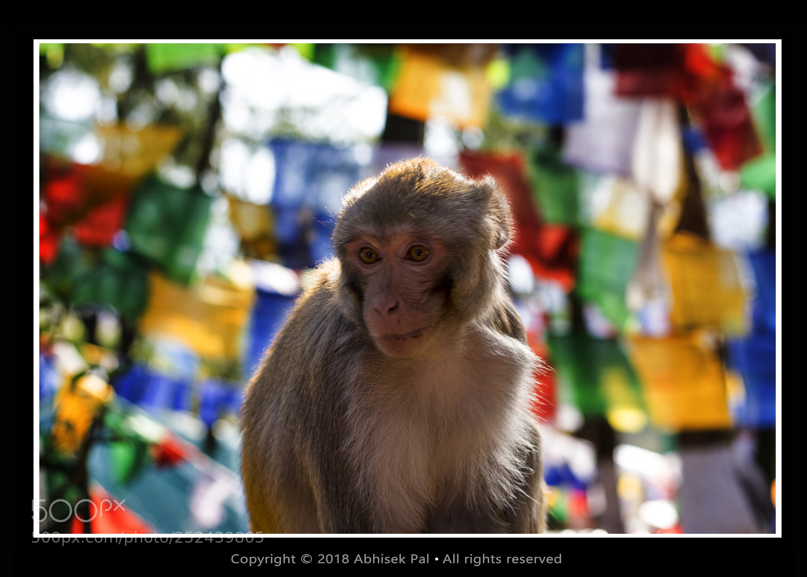 Nikon D5300 sample photo. Sign bdr photography