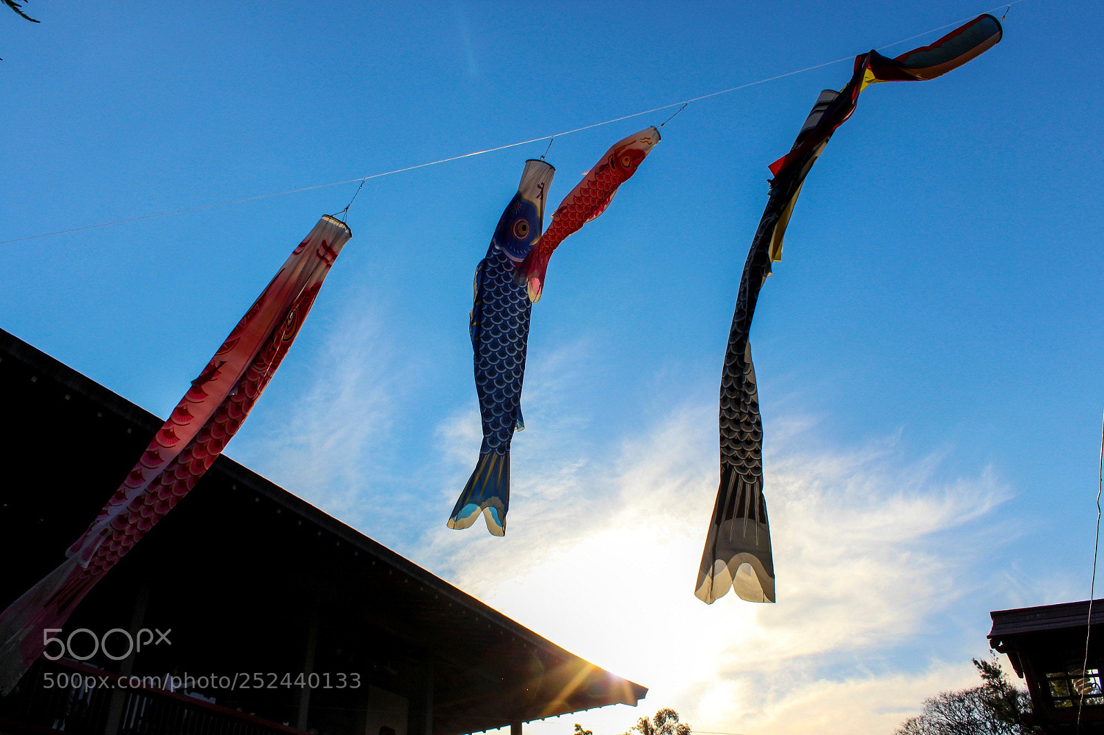 Canon EOS 600D (Rebel EOS T3i / EOS Kiss X5) sample photo. Japon en el aire photography