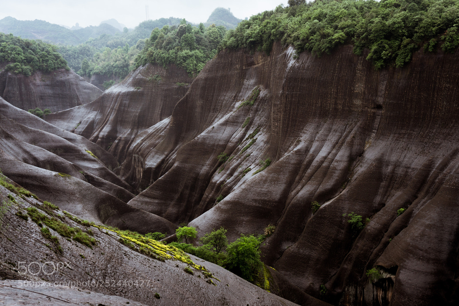 Sony a6000 sample photo. Gaoyiling photography