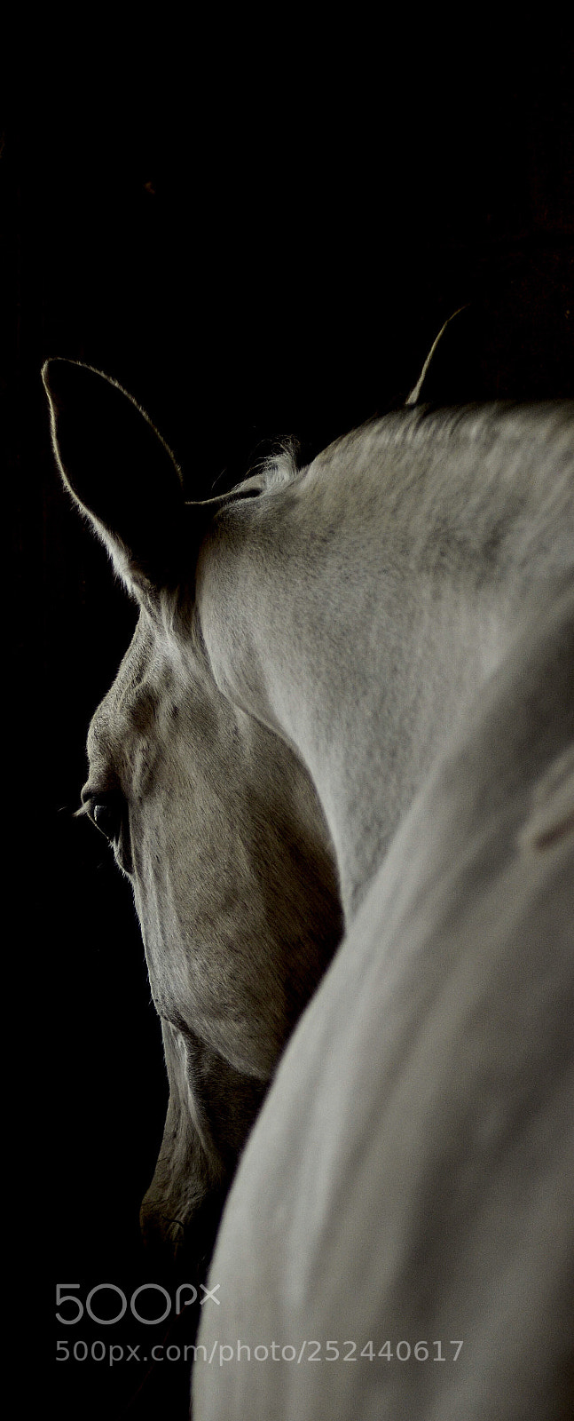 Nikon D7000 sample photo. Different perspective  photography