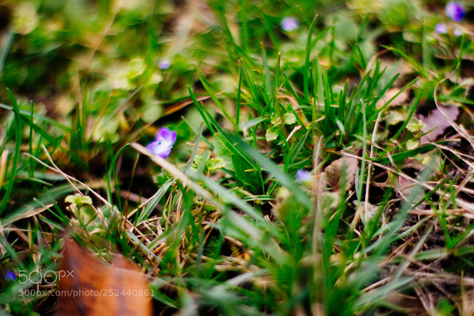 Canon EOS 600D (Rebel EOS T3i / EOS Kiss X5) sample photo. Untitled photography