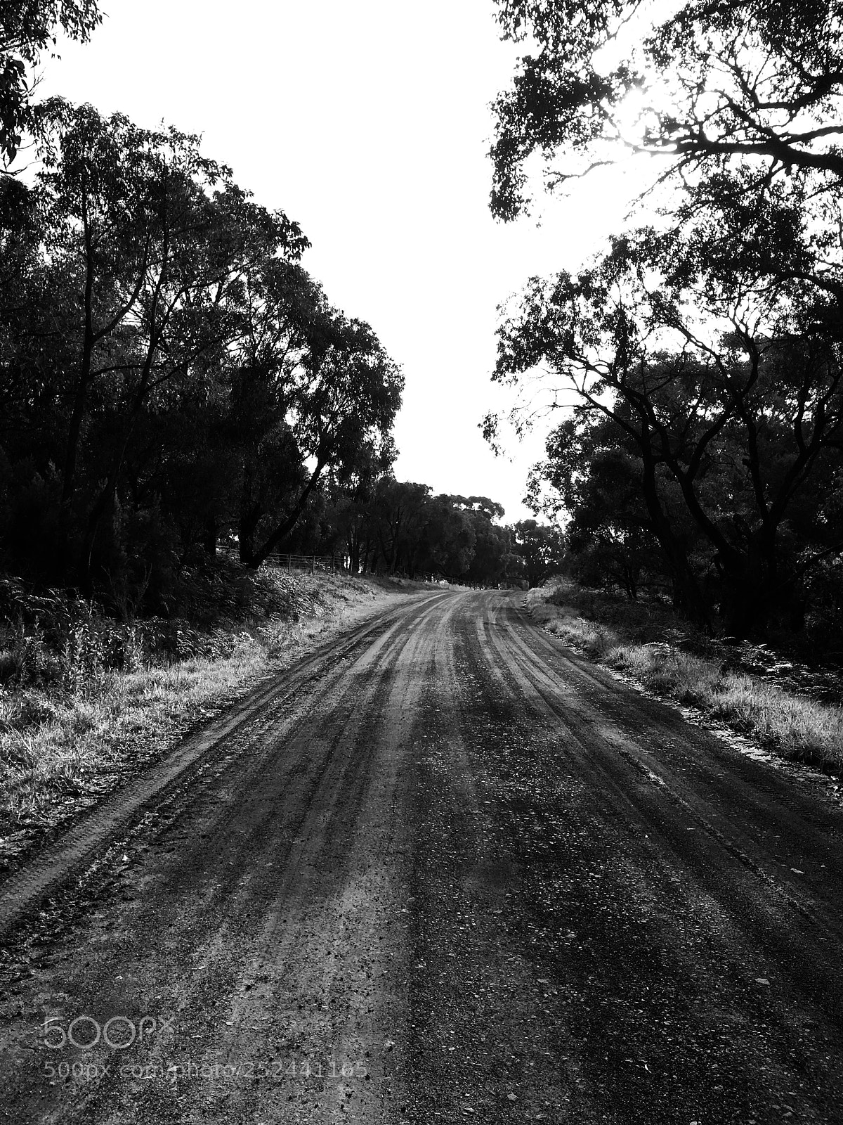 Apple iPhone 6s sample photo. A road less travelled photography