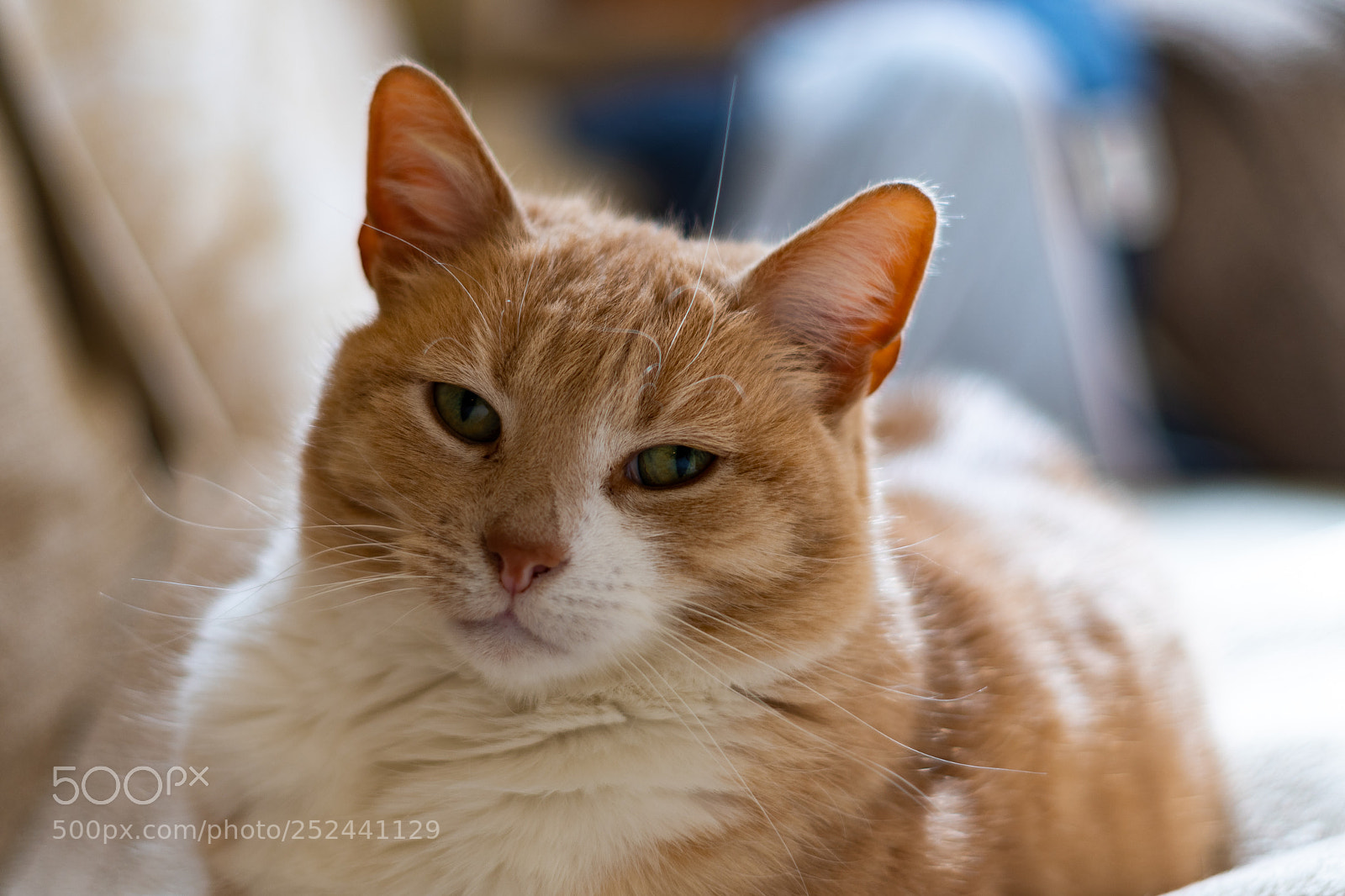 Nikon D7500 sample photo. Bobby photography