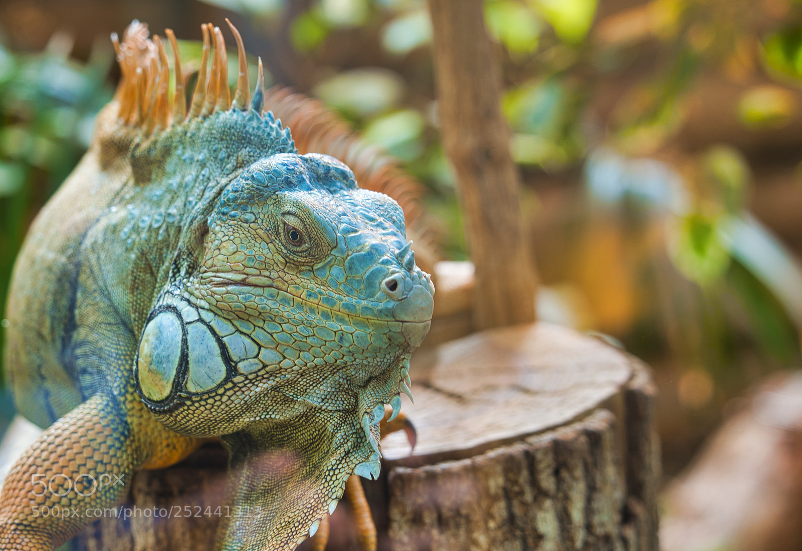 Sony a7R III sample photo. A day in the photography