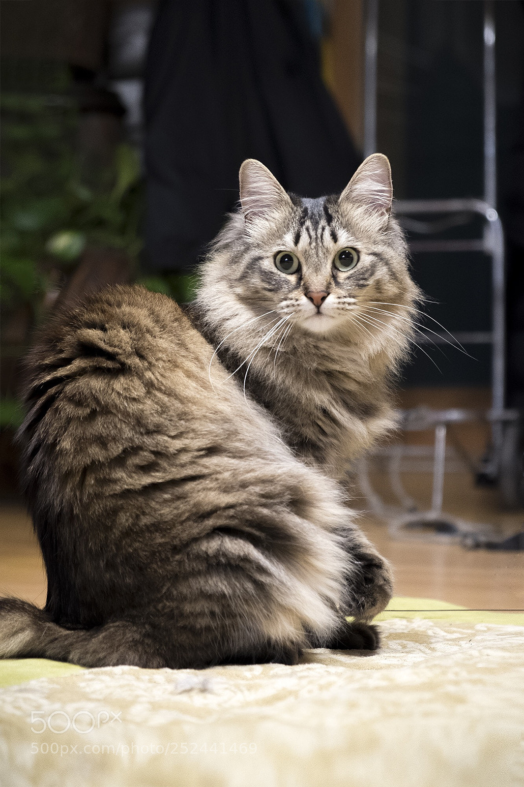 Fujifilm X-T20 sample photo. Untitled photography
