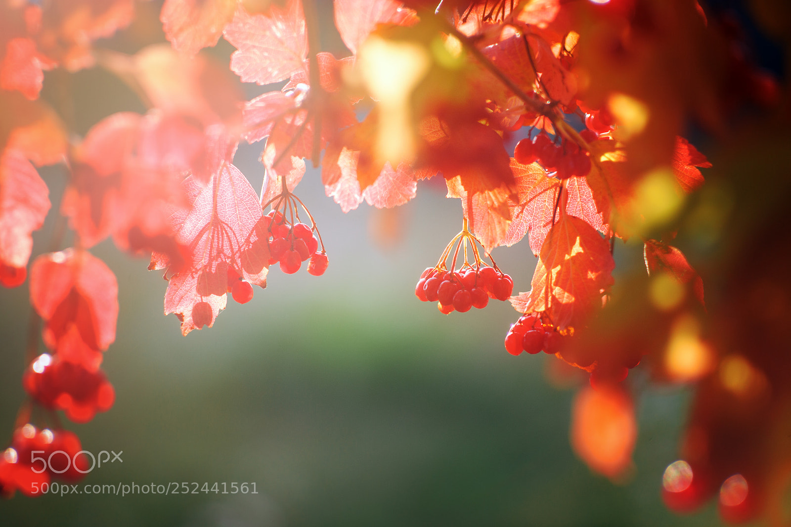 Canon EOS 5D Mark II sample photo. ... photography