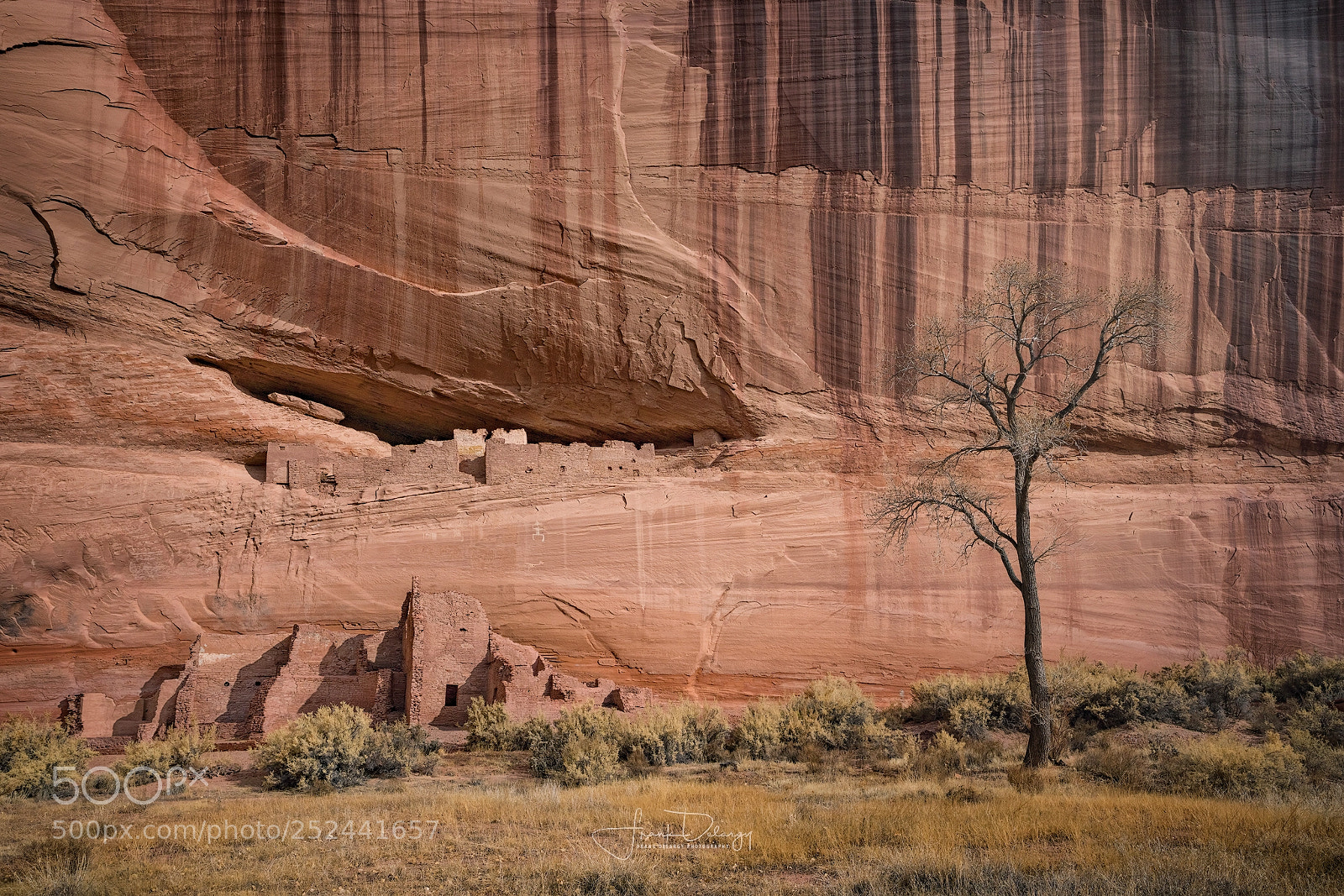 Sony a7R III sample photo. Pueblos and tree photography